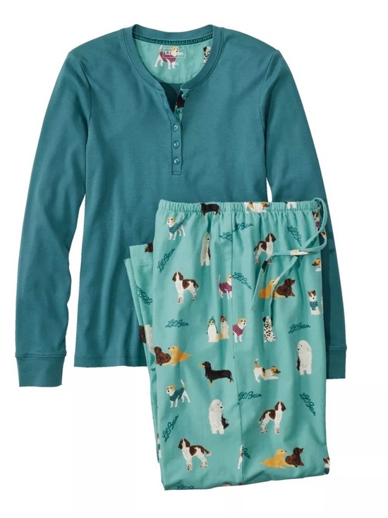 L.L. Bean Other - L.L. Bean Teal Henley Top with Aqua Dog-Print Pajama Pants